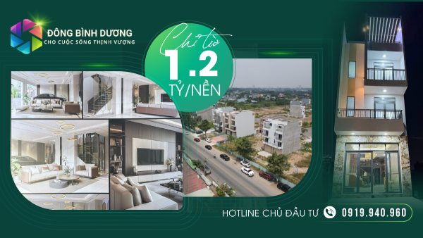 Nhà phố đang xây dựng tại khu đô thị Đông Bình Dương.